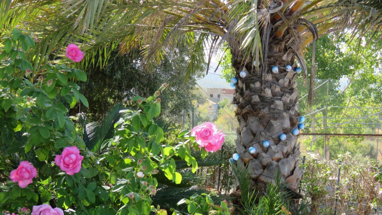 Villa Monte Madalena à Adega Extérieur photo